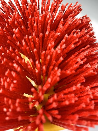 Signi Abrasive nylon bristle Burnishing Brush Drum Drawing Wheel for polishing wood (80 grit red)