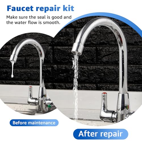 B-6RK Repair Kit for T&S Brass Faucet PRU Cartridge & Spray Valve
