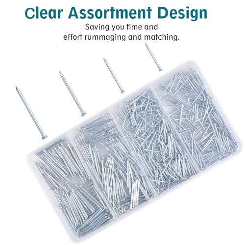Nail for Hanging Pictures Assortment Kit - 650Pcs Small Nails, Finishing Nails, Hanging Nails, Picture Nails, Wall Nails for Hanging, Pin Nails - size: 650Pcs Galvanized Nails