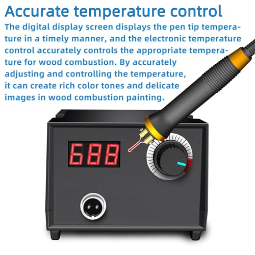 FIRElood Wood Burning Tool,Wood Burning kit Pen 25~750℃,Professional Wood Burning kit,with Digital Thermometer Temperature Adjustable Temperature,1 Wood Burning pens, 30 Wood Burning Pen Tips - color: LH40-1 NEW