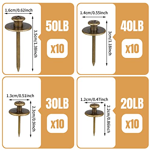Zhengmy 40 Pcs Double Headed Picture Hangers Nails 4 Size, Bronze - color: Bronze