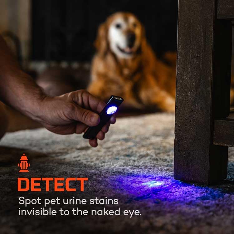NEBO Slim Mini UV Flashlight | 150 Lumens, 4 Light Modes, Rechargeable & Portable Ultraviolet Light, Magnetic Base & Durable Clip, Waterproof, Detector Pocket Flashlight, Includes Charging Cable - style: UV Light