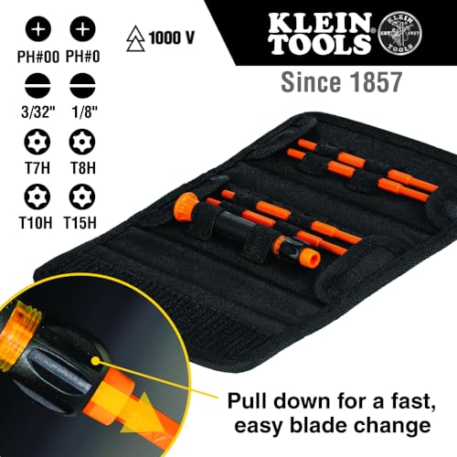 Klein Tools 32584INSR Precision 8-in-1 Screwdriver Set with Case, 1000V Rated Insulated Set with Phillips, Slotted and Tamperproof TORX Bits - style: 8-in-1 Precision