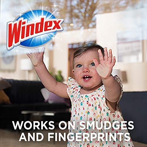 Windex Wipes Glass Cleaning, Pre-Moistened Glass and Surface Wipes to Clean Home Surfaces, Household Essentials, Original Scent, 38 Count (Pack of 2) - size: 38 Count (Pack of 2)