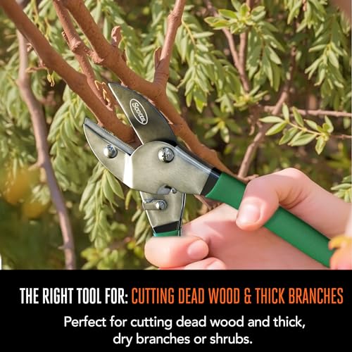 Scotts 2-Piece Pruning Shears Set – Includes 8 in. Bypass Pruner for Live Plants and 8 in. Anvil Pruner for Dry Stems – Sharp Carbon Steel Blades and Comfort Grip Handles for Garden and Yard Use - style: Anvil & Bypass Pruning Kit
