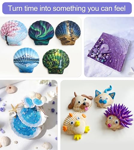 denking Large Scallop Shells, 30 PCS, 4-5 Inch - color: 30pcs 4"-5"