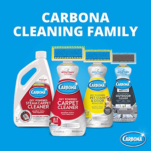 Carbona Pro Care Oxy Powered Outdoor Cleaner with Active Foam Technology | 22 Fl Oz, 2 Pack - size: 22 Fl Oz (Pack of 2)