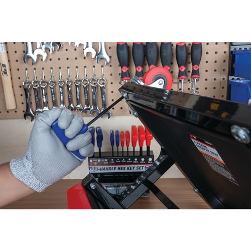 Performance Tool W80277 10-Piece SAE and Metric T-Handle Hex Key Set - size: 10 Pieces, style: 10pc SAE & Metric T-Handle Hex Key Set