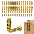 6×14mm Short Expansion Screw Set for Cabinet Hinge Repair, Expansion Anchor