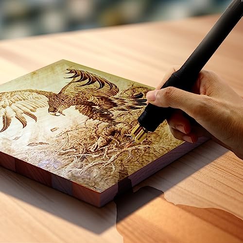 Professional Wood Burning Kit with One Pyrography Pen Single Wood Burner with 20 Wood Burning Tips with Case and 5PCS Stencils