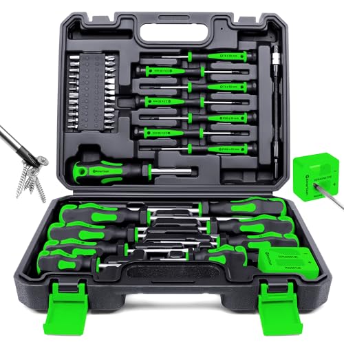 Magnetic Screwdrivers Set with Case, Amartisan 43-piece Includs Slotted, Phillips, Hex, Pozidriv,Torx and Precision Screwdriver Set, Magnetizer Demagnetizer Tools, Tools for Men (Green)) - style: 43-piece Screwdrivers Set (Green)