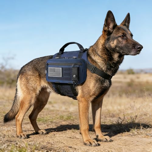 FRTKK Tactical Molle Admin Pouch Utility Laser Cut EDC Tool Pouch Bag Horizontal Modular Pouches Include US Flag Patch and Keychain - color: Blue