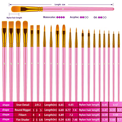 Artstorys Paint Brushes Set, 20 Pcs Acrylic Oil Watercolor Painting Brushes - color: Pink