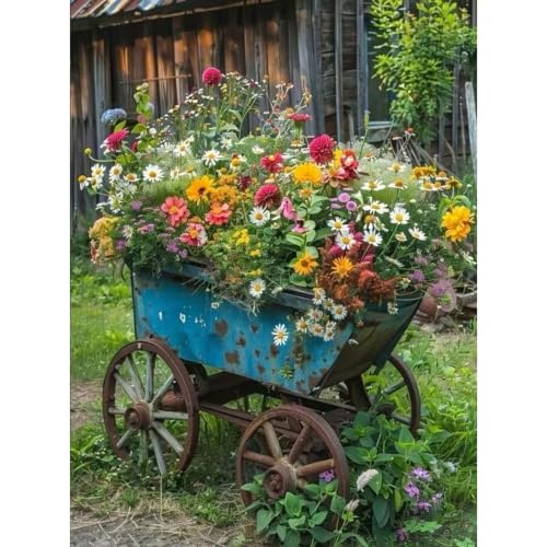 Flower 5D Diamond Painting Kits for Adults Beginners,Farmhouse 12 X 16inch - color: DZ928