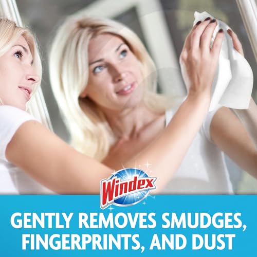 Windex Wipes Glass Cleaning, Pre-Moistened Glass and Surface Wipes to Clean Home Surfaces, Household Essentials, Original Scent, 38 Count (Pack of 12) - size: 38 Count (Pack of 12)