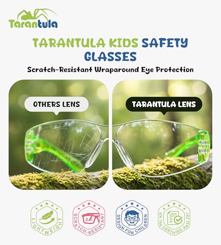 Tarantula 6 Pack Kids Safety Glasses, Youth Protective Eyewear & Goggles