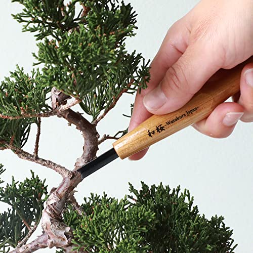 Wazakura Made in Japan Bonsai Chisel Hand V-Parting Carving Tool 0.17 in (4.5 mm) for Jin Shari Making, DIY Woodcarving Knife for Experts and Beginners (V-Parting Triangle Shape 4.5 mm) - style: V-Parting Triangle Shape 4.5 mm