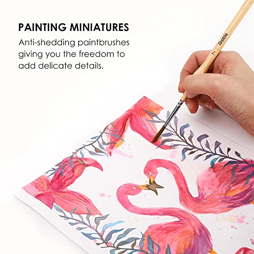 Grabie 11 Pcs Miniature Paint Brushes for Fine Detail Painting