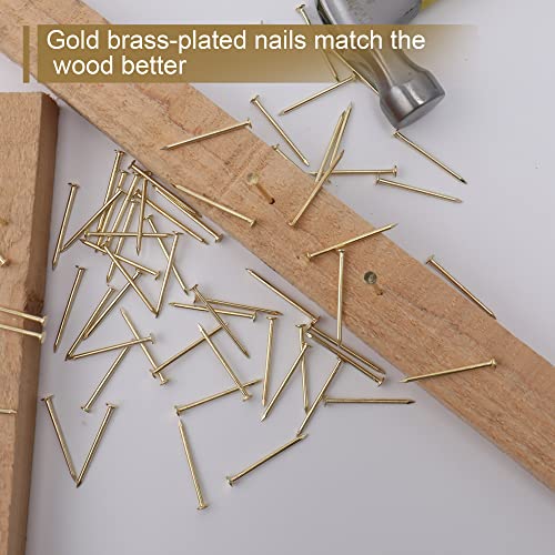 JEGONFRI 240PCS 1-1/2" x 14Ga Brass Plated Nails for Hanging Pictures - color: Gold, size: 1-1/2 In , 240 Pcs