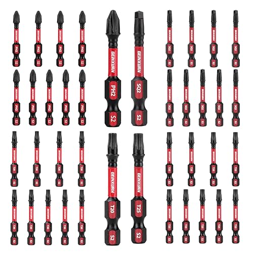 GEINXURN Impact Tough Phillips Square Torx 2 in. Insert Driver Bits, 40Pack Bulk T20/T25/PH2/SQ2 Screwdriver Power Bits Set - size: MIXED-40PC