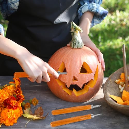 Wood Carving Tools, 14Pcs Wood Carving Knife Kit Carbon Steel, Wood Chisels Set for Pumpkins Soap Sculpture Carving DIY (12 Styles)