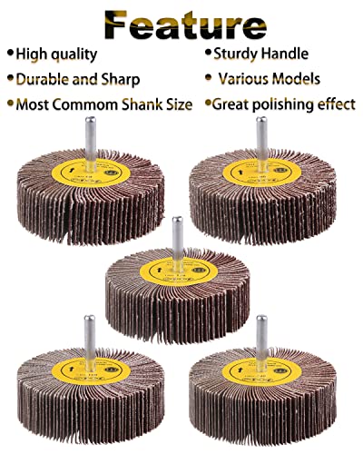 Rocaris 1/4" Abrasive Flap Wheel Sander Set, 80 Grit Aluminum Oxide Flap Wheels Cylindrical Shape Sanding Wheel, 8 Sizes (10)