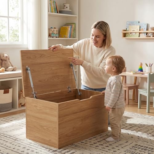 100N Soft Close Safety Gas Strut Hinges, CJQZP 2 Pack Heavy Duty Toy Box & Cabinet Hinges for Curved, Round, Arched & Flat Lids - color: silvery