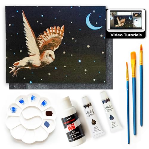 Painting4Real Acrylic Art Painting Kit with Video Tutorials - How to Paint with Acrylic Paint Set for Adults, Learn to Paint Winter Owl - 9 Peices Painting Set for Adults, Beginners, Art Lovers - color: Winter Owl