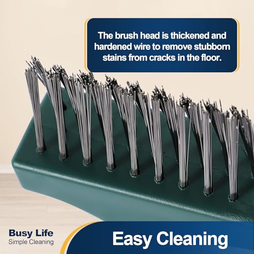 Yocada Moss Remover - Crevice Cleaning Tool, Moss Brush, Wire Metal Brush