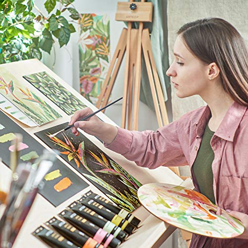 ACRYLIC PAINT 8/PKG FLORAL - style: 8 x 120ml (4.06 fl oz) Floral Brilliance