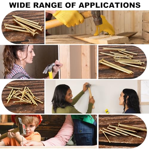 Gold Picture Hanging Nails Kit 650 Pcs - 4 Sizes Premium Galvanized Steel Wall Nails with Storage Box for Frames, Photos, Artworks - size: 650Pcs Gold Nails