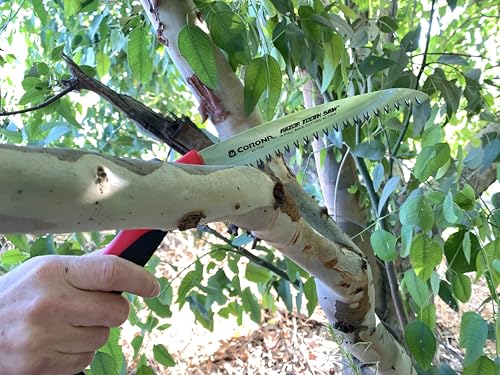 Corona RS 7245 Razor Tooth Folding Saw, 7-Inch Curved Blade, Steel - size: 7-Inch, style: RS 7245