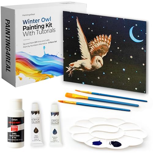 Painting4Real Acrylic Art Painting Kit with Video Tutorials - How to Paint with Acrylic Paint Set for Adults, Learn to Paint Winter Owl - 9 Peices Painting Set for Adults, Beginners, Art Lovers - color: Winter Owl