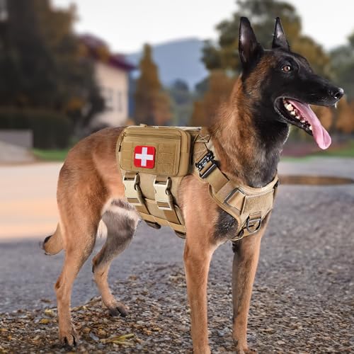 FRTKK Tactical Molle Admin Pouch Utility Laser Cut EDC Tool Pouch Bag Horizontal Modular Pouches Include US Flag Patch and Keychain - color: Tan