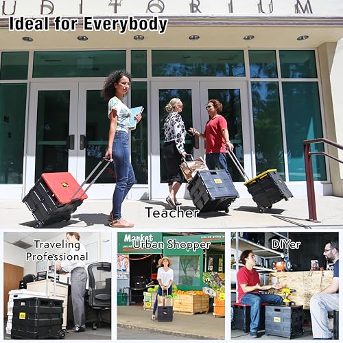 dbest Products Quik Cart Standard Collapsible Rolling Crate - Black - color: Black, style: Standard