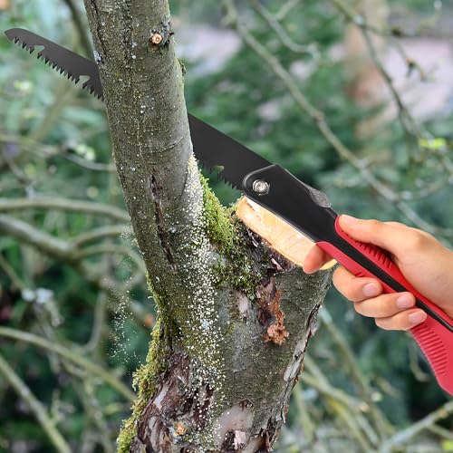 10 inch Folding Saw, SK9 High Carbon Steel Pruning Hand Saw | for Wood Cutting, Tree Trimming, Camping and Gardening Work, Gifts for Men