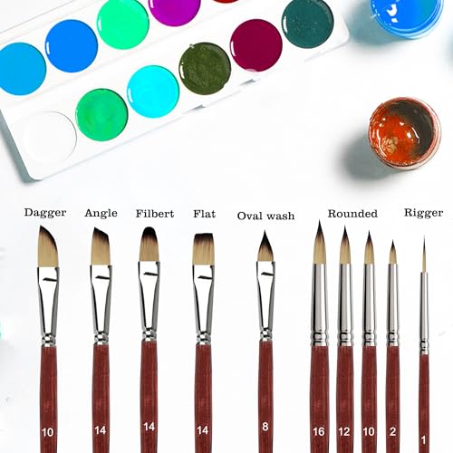 Sdanart Watercolor Brushes Professional，10 PCS Artist Paint Brush Shapes