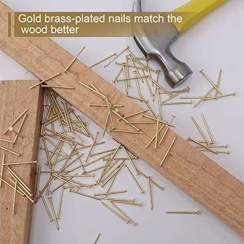JEGONFRI 450PCS 1-1/4" x 16Ga Brass Plated Nails for Hanging Pictures - color: Gold, size: 1-1/4 In , 450 Pcs