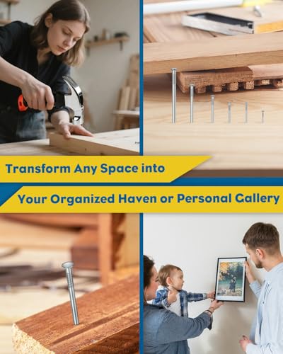 Vibit 720 Pcs Nail Assortment Kit with Small Hammer, 6 Sizes, Picture Hanging Nails for Wall Art, Small Nails for Hanging Pictures, Drywall Wood Hardware Nails Finishing Nails Wall Nails for Hanging - style: 720 Pcs with Hammer