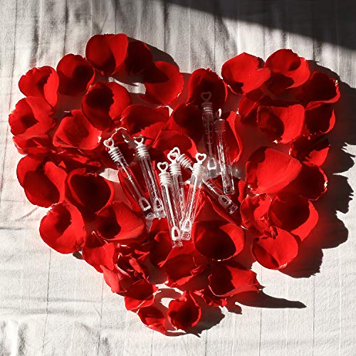 56 Pack White Wedding Bubble Bulk,Mini Bubble Wands Party Favors for Guests