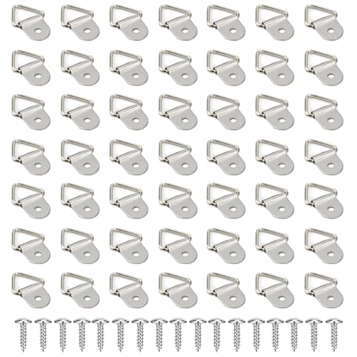 100pc Picture Hangers Kit D-Ring Hooks with Screws Heavy Duty for Hanging - color: Silver