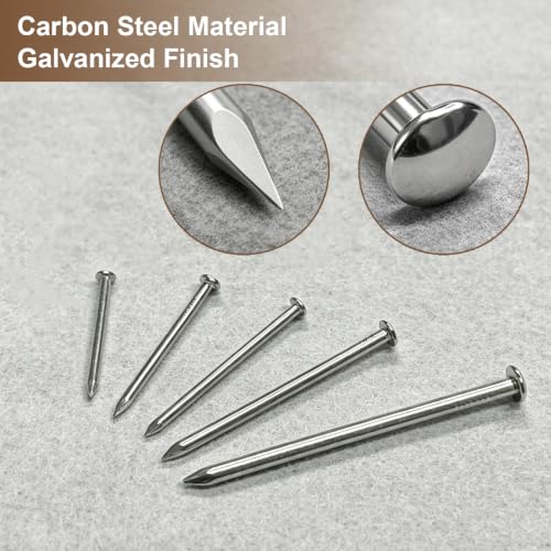 395Pcs Nails Assortment Kit, 5 Sizes Silver Hardware Nails for Hanging Pictures, Frames, Wood, Wall, Home DIY
