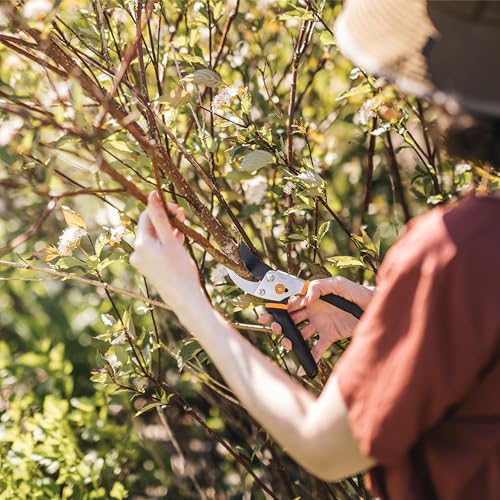 Fiskars Bypass Pruning Shears, 5/8" Cut Capacity Garden Clippers - style: Bypass Pruner