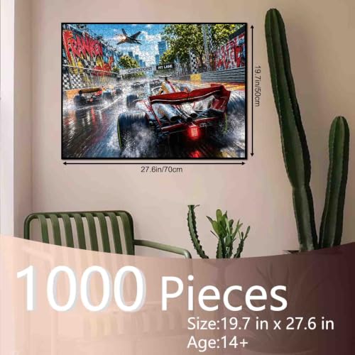 Racing Car Jigsaw Puzzle 1000 Piece for Adult 19.7 x 27.6 Inch - color: Race Car-01