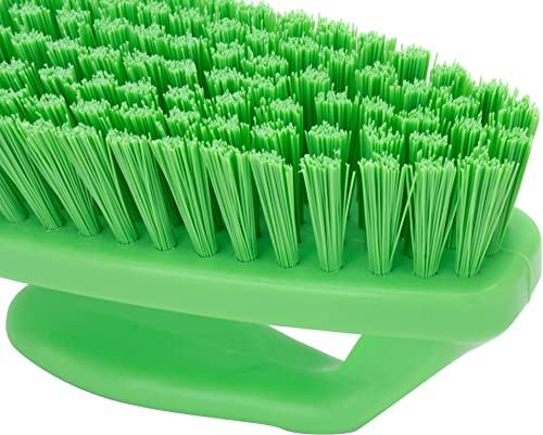 SPARTA Scrub Brush with Iron Shaped Handle and Stiff Bristles, Heavy Duty Scrubber Brush for Kitchen, Bathroom, Shower, Tile, Sink, Carpet and Bakepans, Polypropylene, 6 Inches, Lime - color: Lime, size: 6 Inches (Pack of 1)