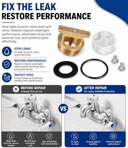 B-0969-RK01 Vacuum Breaker Repair Kit