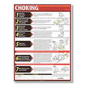 ComplyRight Lifesaving Choking Poster in English, 18" x 24", Safety Signs for Workplace - color: Lifesaving Choking Poster