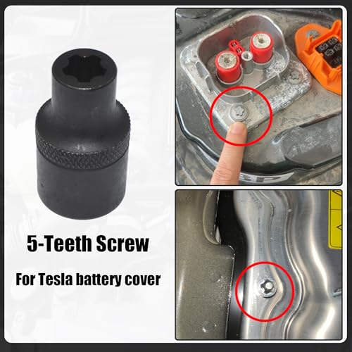 External Torx Plus Socket Set With 1/2'' 3/8'' 1/4'' Dr - color: Blue Case, size: 19 PCS - EP Socket