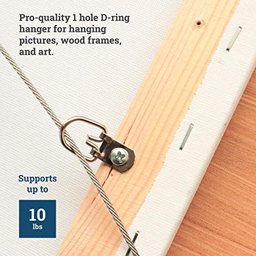 PHS D-Ring Picture Hangers, Holds 10 lb, 100 Pack with Screws - size: 100 Pack