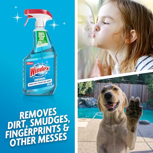 Windex Glass & Window Cleaner Spray Bottle, Original, 23 oz - size: 23 Fl Oz (Pack of 1), style: Trigger